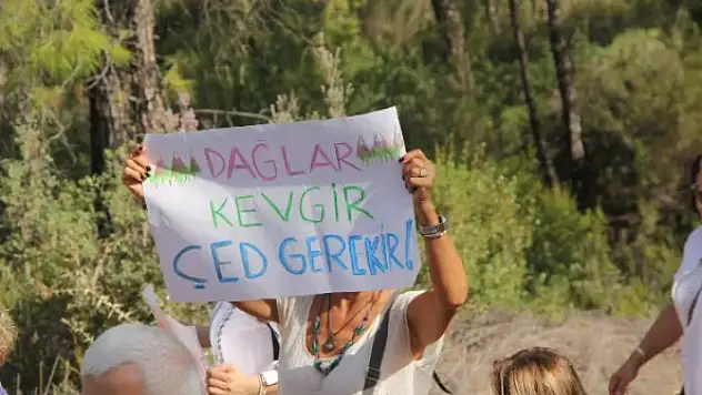 Yeşilüzümlü'de krom tesisine davasında ara karar