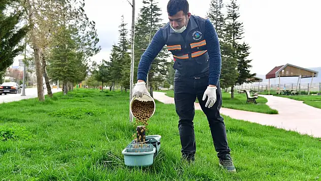 YEŞİLYURT BELEDİYESİ, SOKAK HAYVANLARINI UNUTMADI!