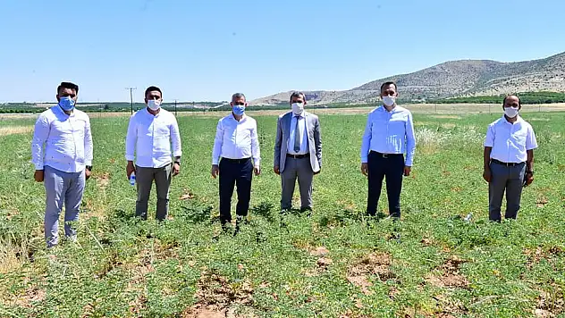 YEŞİLYURT BELEDİYESİ TARIMSAL ÜRETİM-ARGE SAHASI ÜRETİMİ