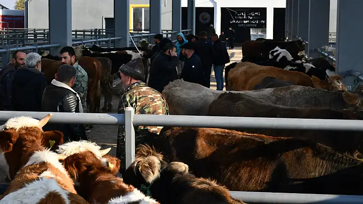 Bağlamış: Kayseri’yi hayvancılıkta merkez yapacağız