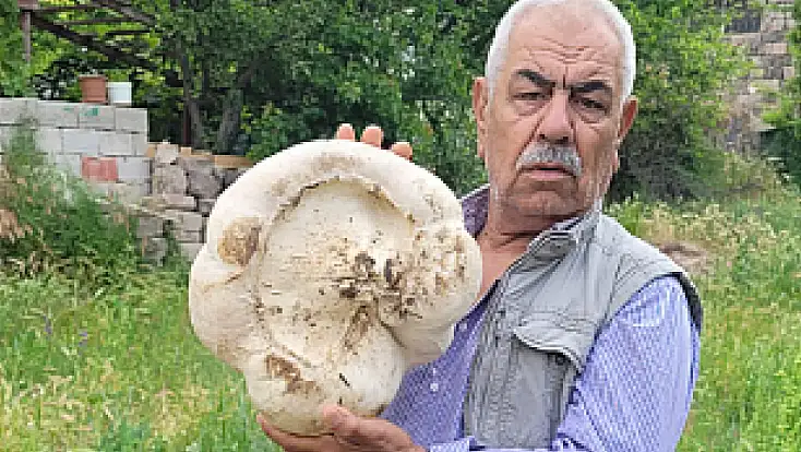 Kayseri’de 3 kilo 400 gram mantar buldu