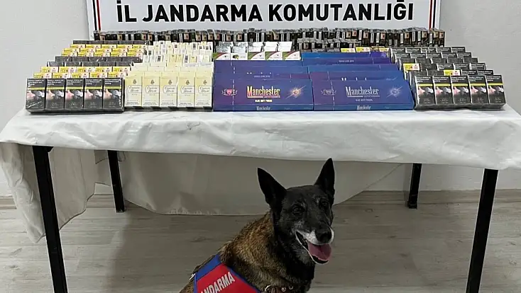 Kayseri’de 500 paket kaçak sigara yakalandı