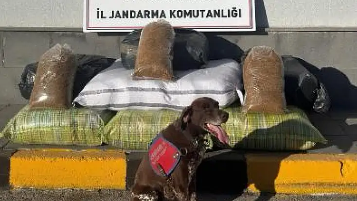 Kayseri’de jandarmadan Ağustos ayında huzur operasyonları