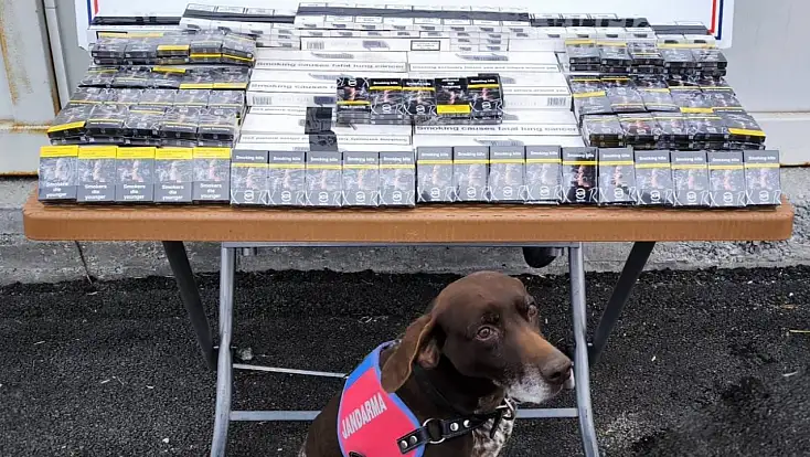 Kayseri’de kaçakçılığa geçit yok