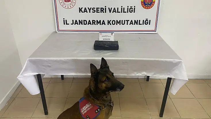Kayseri’de uyuşturucu operasyonu