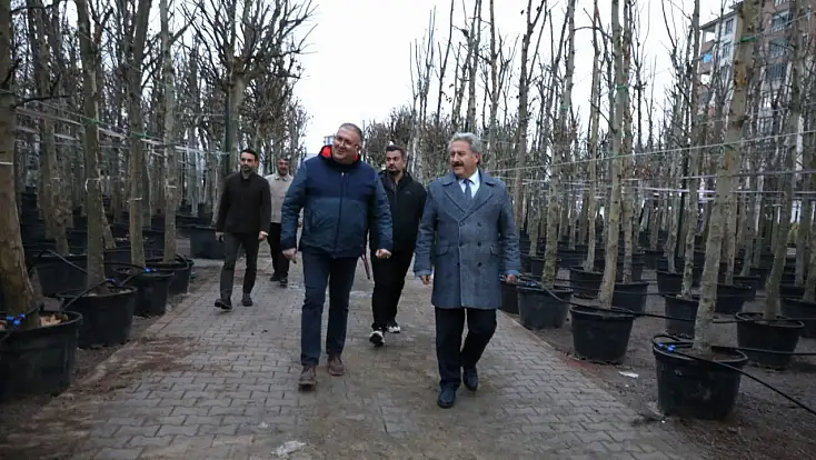 Melikgazi’de ağaçlandırma çalışmaları sürüyor