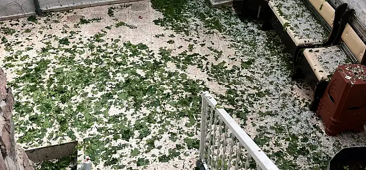 Gesi Mahallesi'nde Dolu Yağışı Tarım Arazilerine Zarar Verdi