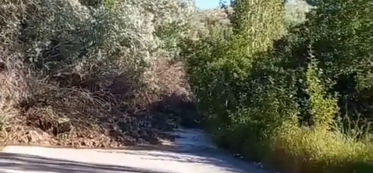 Sarıoğlan'da Heyelan: Mahalle Yolu Ulaşıma Kapandı