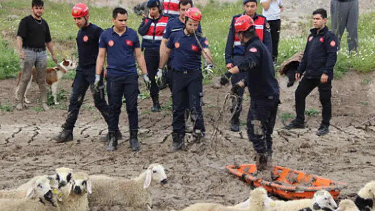 2 SAATLİK KOYUN KURTARMA OPERASYONU