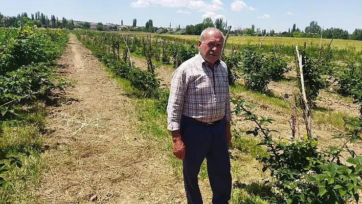 2016'DAN BERİ AHUDUDU YETİŞTİRİYOR