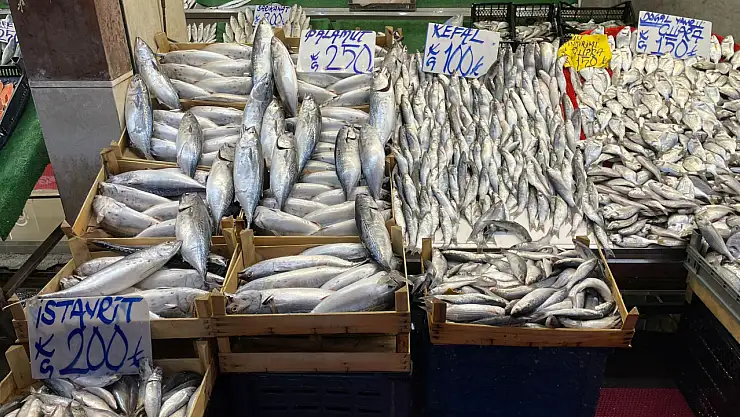 '40 Yıllık Balıkçı: Denizden hamsi kaynıyor, En ucuza Kayseri satıyor'