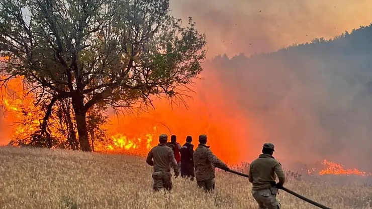 61 orman yangınına 23 gözaltı: 4 kişi tutuklandı