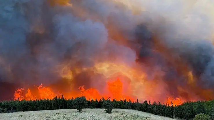 Adana İmamoğlu'ndaki Orman Yangını kontrol altına alındı