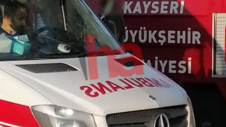Ağaçta asılı erkek cesedi buldu