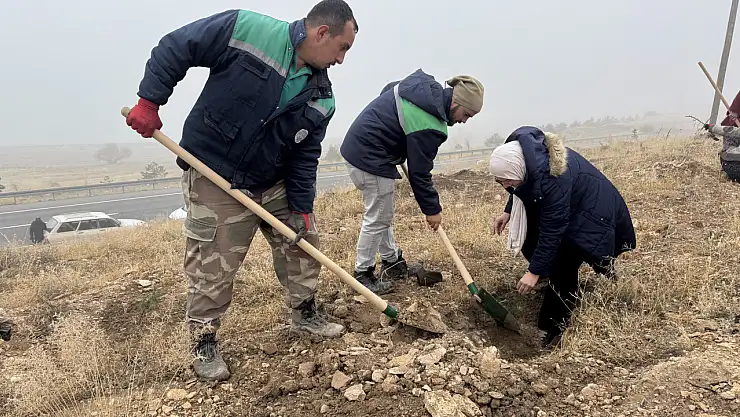 Ağcaşar'da 1200 Fidan Toprakla Buluştu