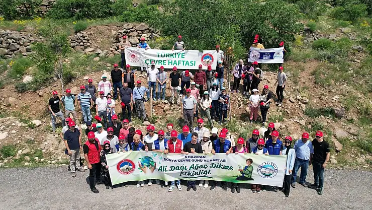 ALİ DAĞI'NA İKİ YILDA 30 BİN FİDAN