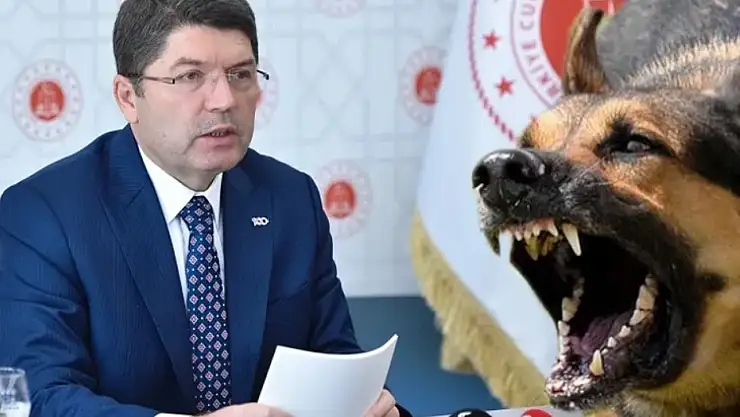 Başıboş saldırılarla ilgili ihmallere soruşturma