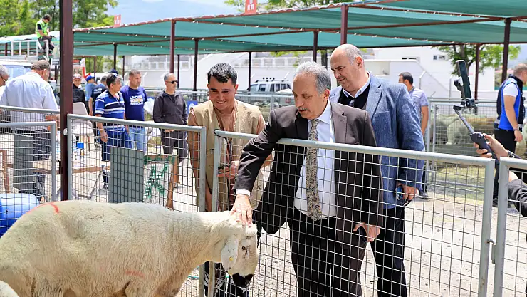 Başkan Yalçın'dan Kurban pazarı ziyareti