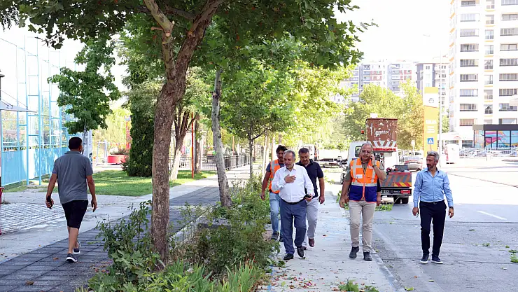 Başkan Yalçın, mahallede çalışmaları inceledi