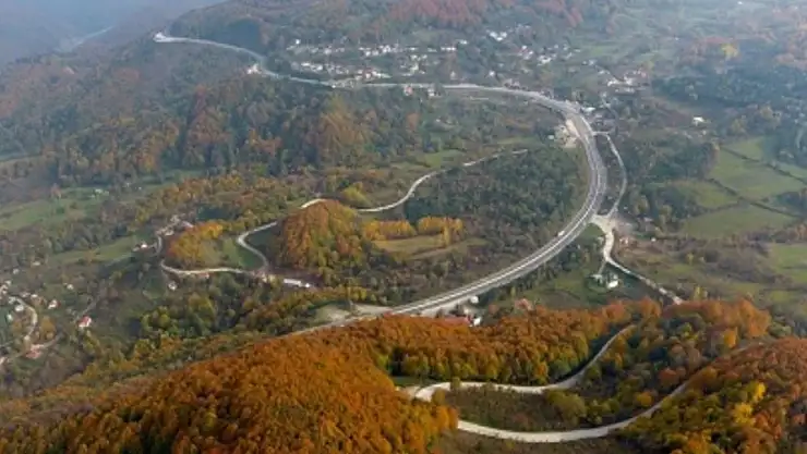 Bolu'da yanan alanlara 5 milyon fidan