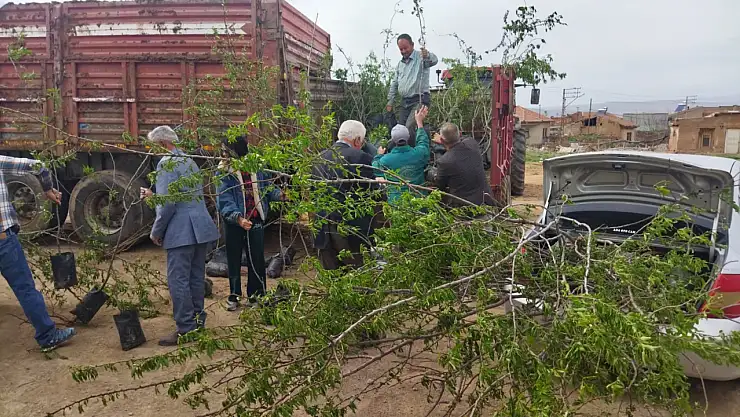 Büyük Tuzhisar'da 2 bin badem fidanı dağıtıldı
