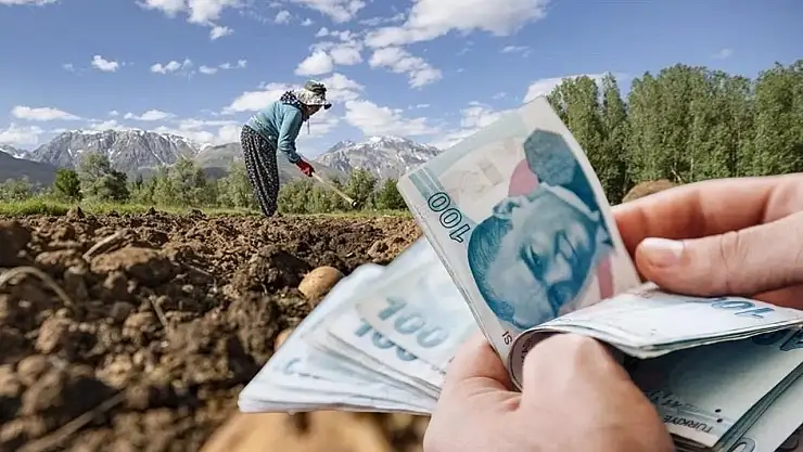 Çiftçilere 349 milyon lira ödeme