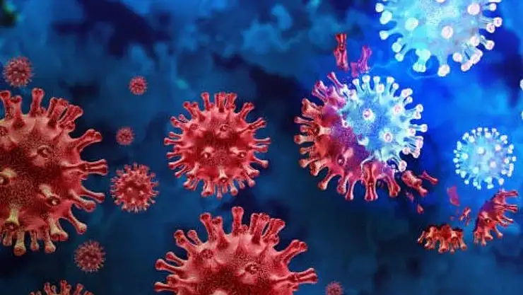 COVID-19'da Sona Gelindi