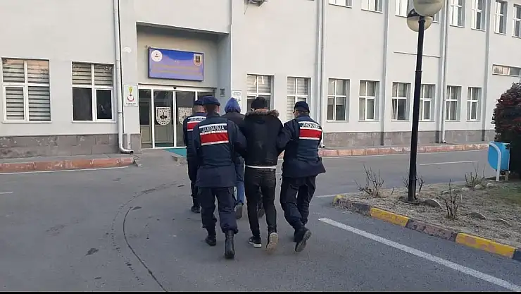 DEAŞ üyesi 2 şüpheli yakalandı
