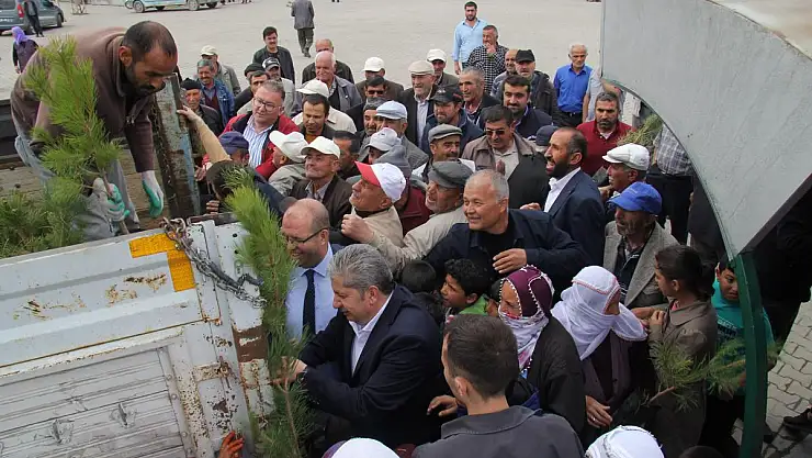GÜLLÜCE MAHALLESİ'NDE FİDAN DAĞITIMI GERÇEKLEŞTİRİLDİ