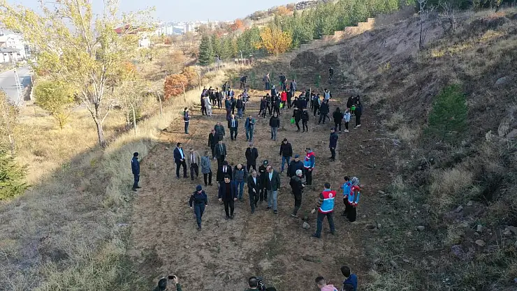 HACILARDA BİN 111 FİDAN TOPRAKLA BULUŞTU