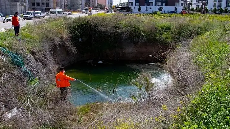 Haşere İle Mücadele Erken Başladı