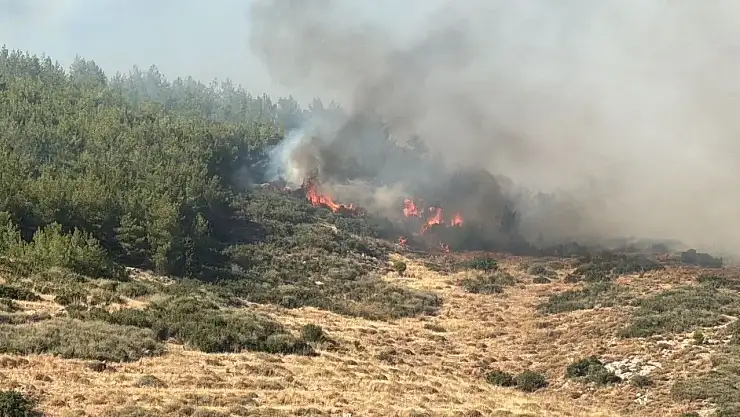 Hatay Antakya'da Orman yangını