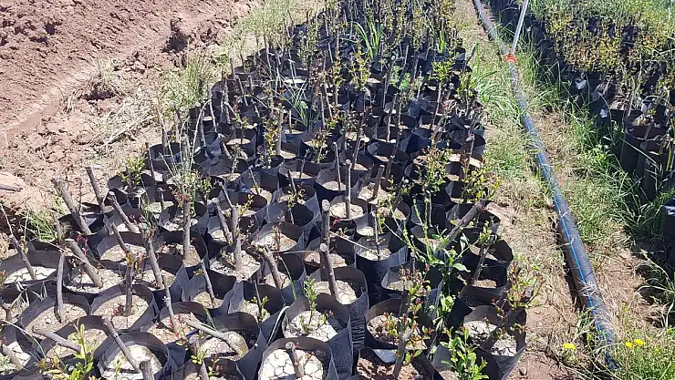 Hatay Büyükşehir Belediyesi Çelikleme desteği verecek
