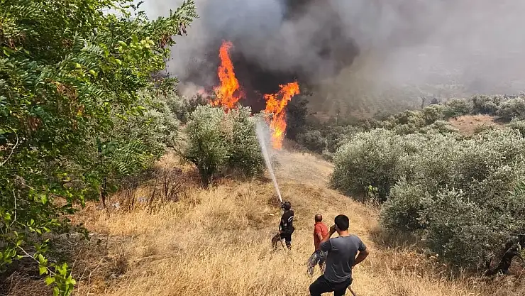 Hatay Karaali'deki Orman Yangını kontrol altında
