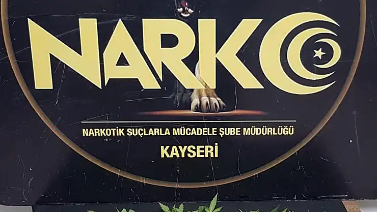 Hint keneviri yetiştiren 1 şüpheliye gözaltı