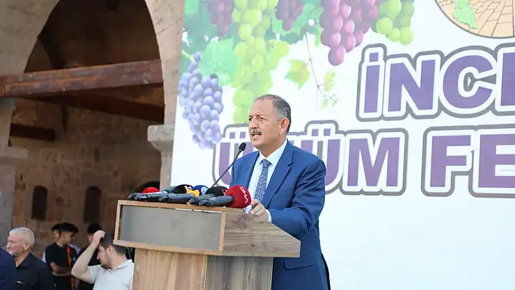 İncesu'da 28'inci Üzüm Festivali başladı