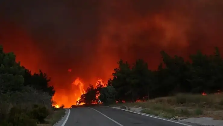 İzmir'de alevler yerleşim yerlerine sıçradı