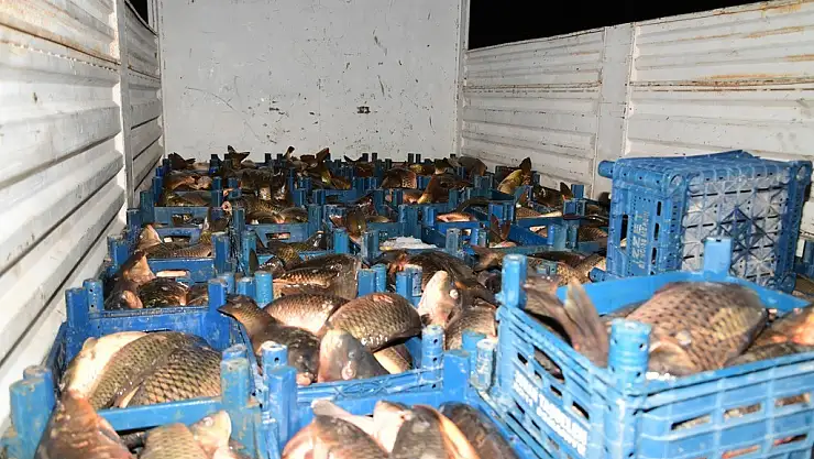 Kaçak avlanan 1,5 ton balığa el konuldu