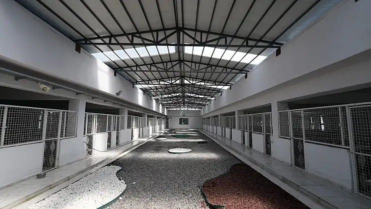 Kayseri'de hayvanlara yeni yaşam alanları