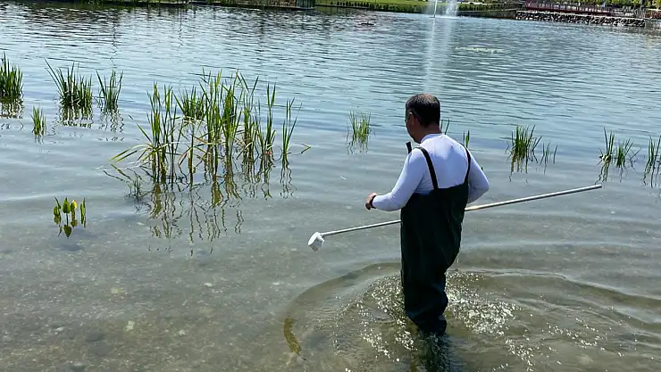 Kayseri'de Yeşil alanlarda zararlılara karşı gece mesaisi