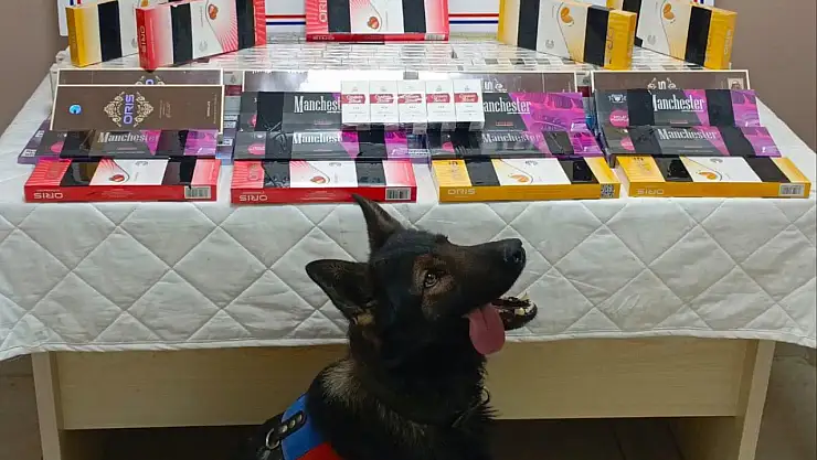 Kayseri'de yol kontrolünde 700 paket kaçak sigara ele geçirildi