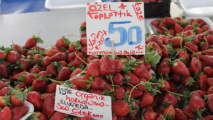Semt Pazarı Fiyatları