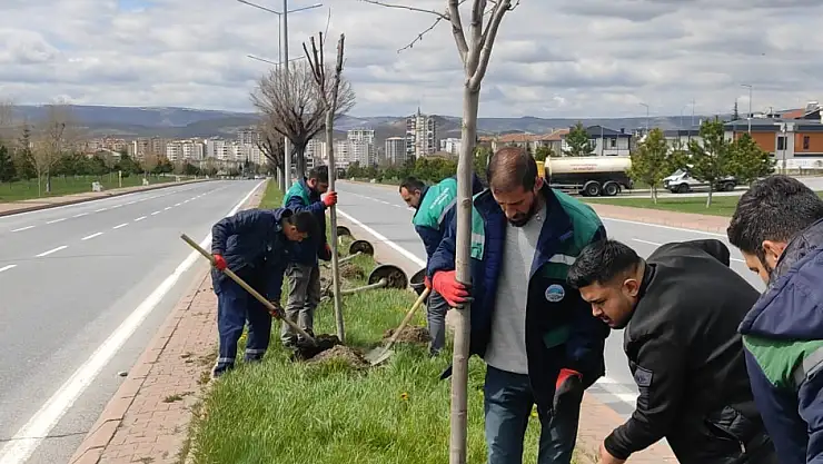 Kayseri'ye yeşil dokunuş