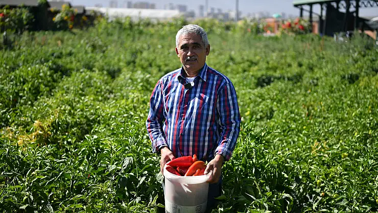 Kayserililer doğallığın tadını bu pazarda çıkarıyor