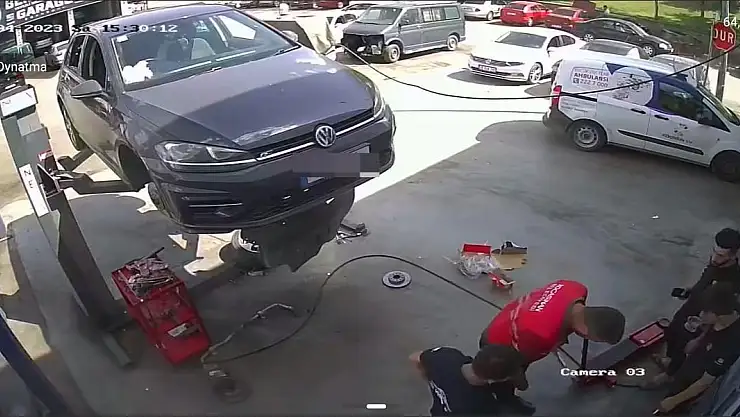 Kedi, Aracın Tamponunda Doğum Yaptı