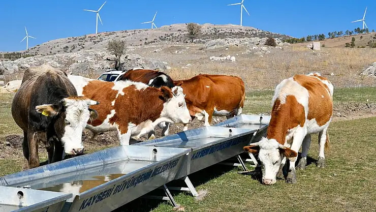 KIRSALA YARIM MİLYARLIK HİZMET