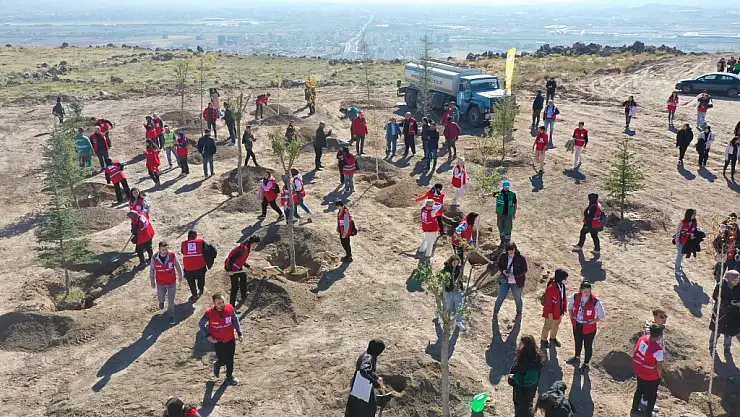 KOCASİNAN BELEDİYESİ, KIZILAY HAFTASI'NI AĞAÇLARLA  TAÇLANDIRDI