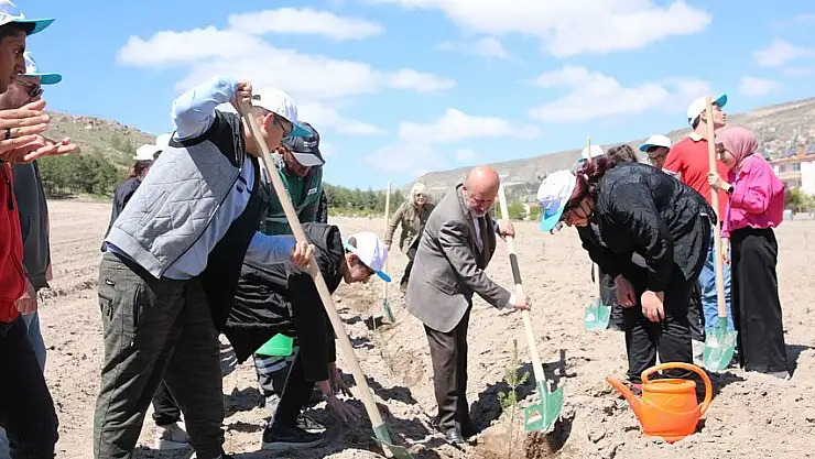 KOCASİNAN'DA FİDANLAR BU HAFTA +1 DEĞERLİ