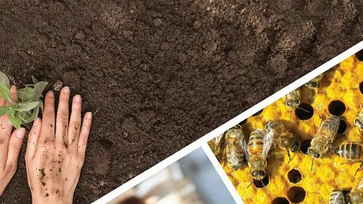 KOOP-DES başvuruları uzatıldı