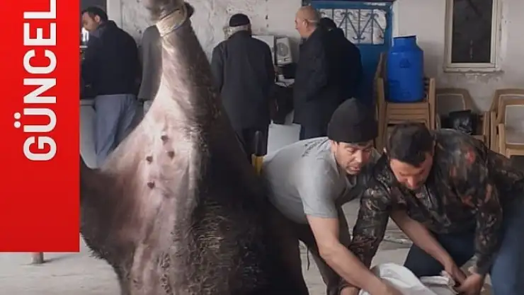 KURBAN ATIKLARINA DİKKAT